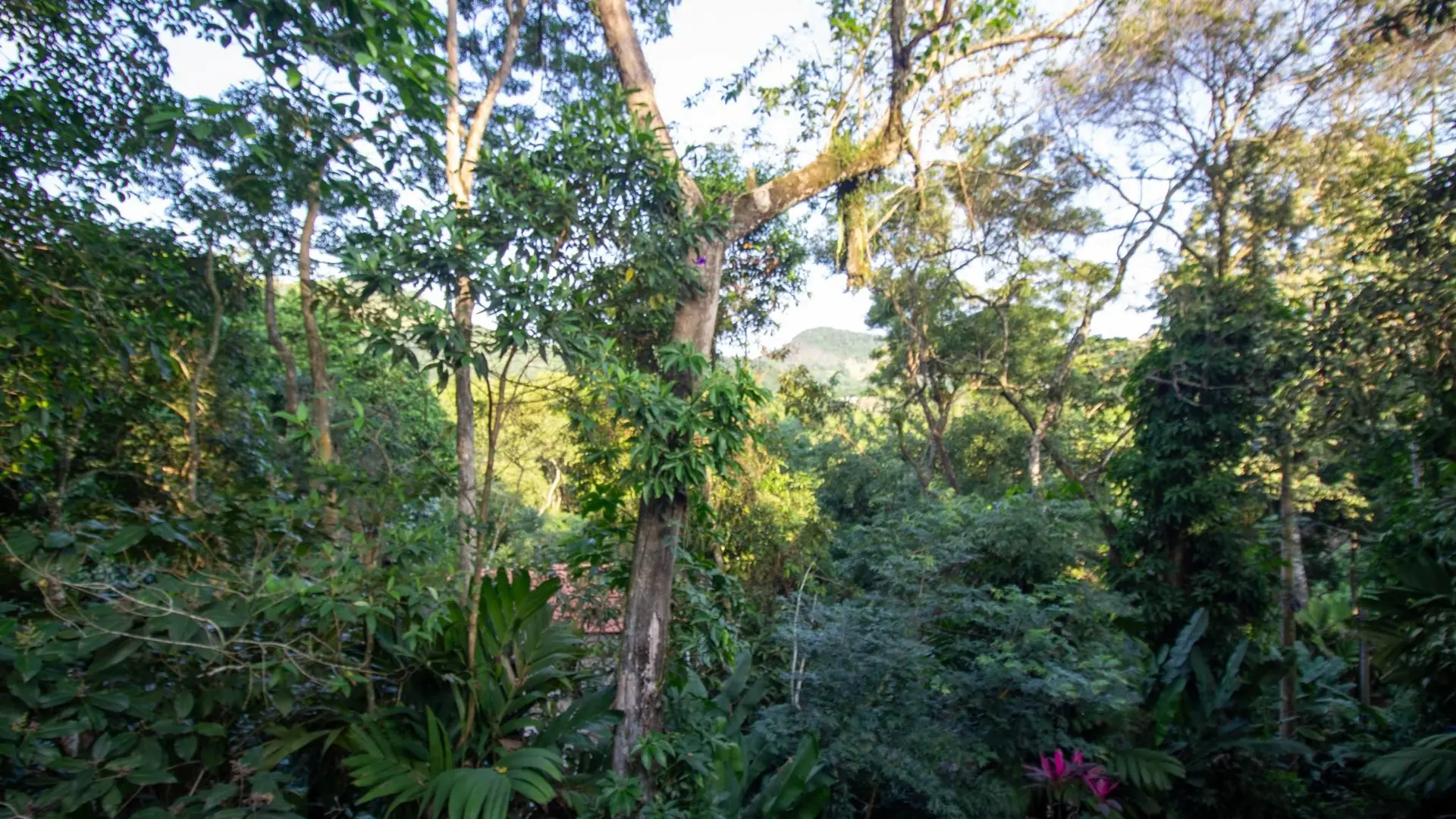 Casa com 4 quartos e 4 banheiros, com 3 vagas — photo 24