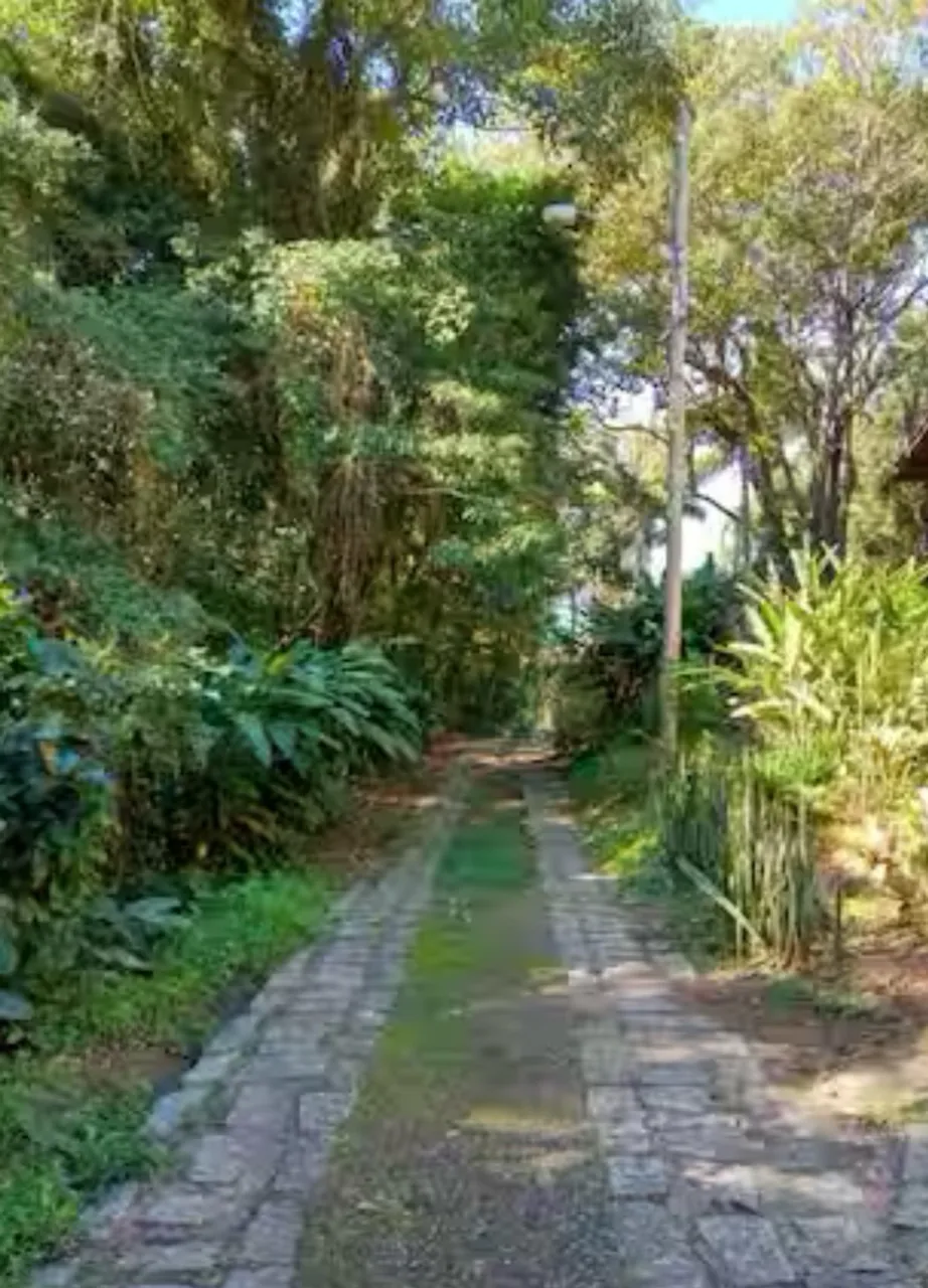 Furnished one-bedroom, 30 m² house in Florianópolis — photo 4
