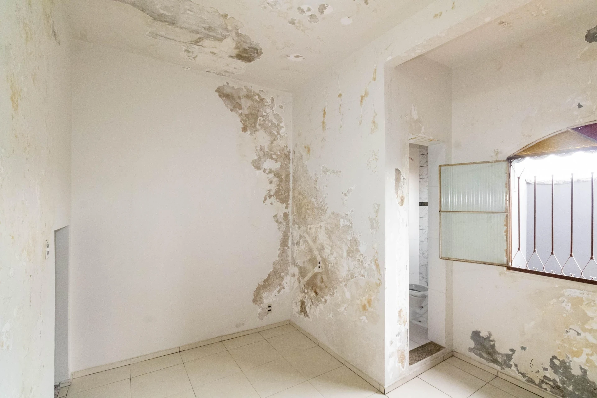 Мебльований будинок з 3 спальнями та 2 паркомісцями — photo 49
