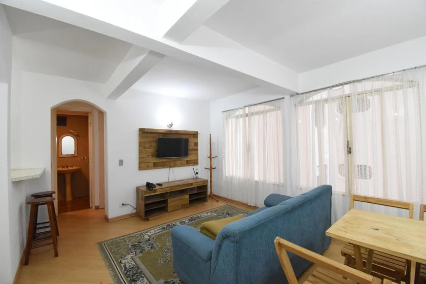 1-bedroom apartment with open-plan kitchen and gas stove — photo 5