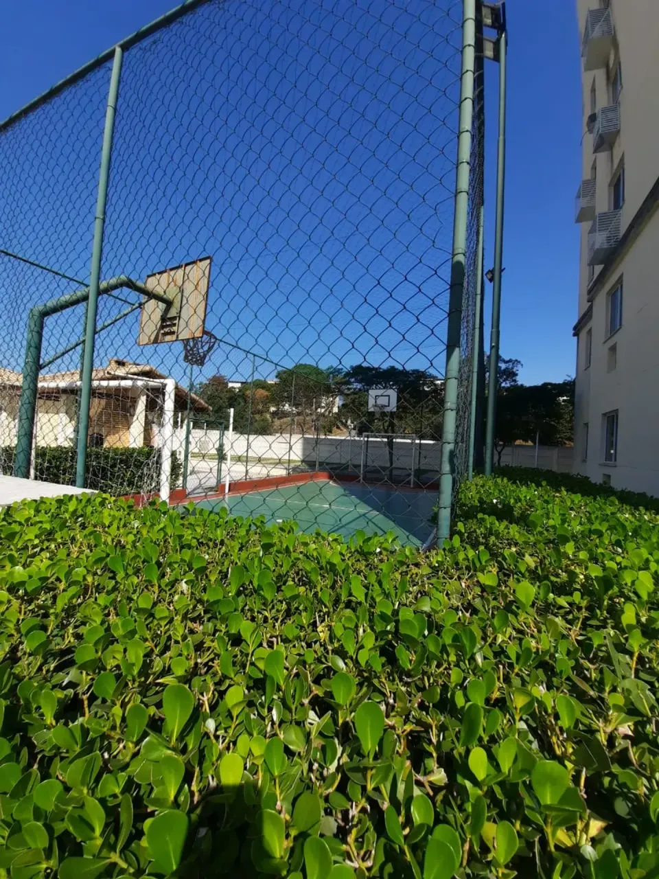 Apartamento para aluguel com 3 quartos e 2 banheiros — photo 10