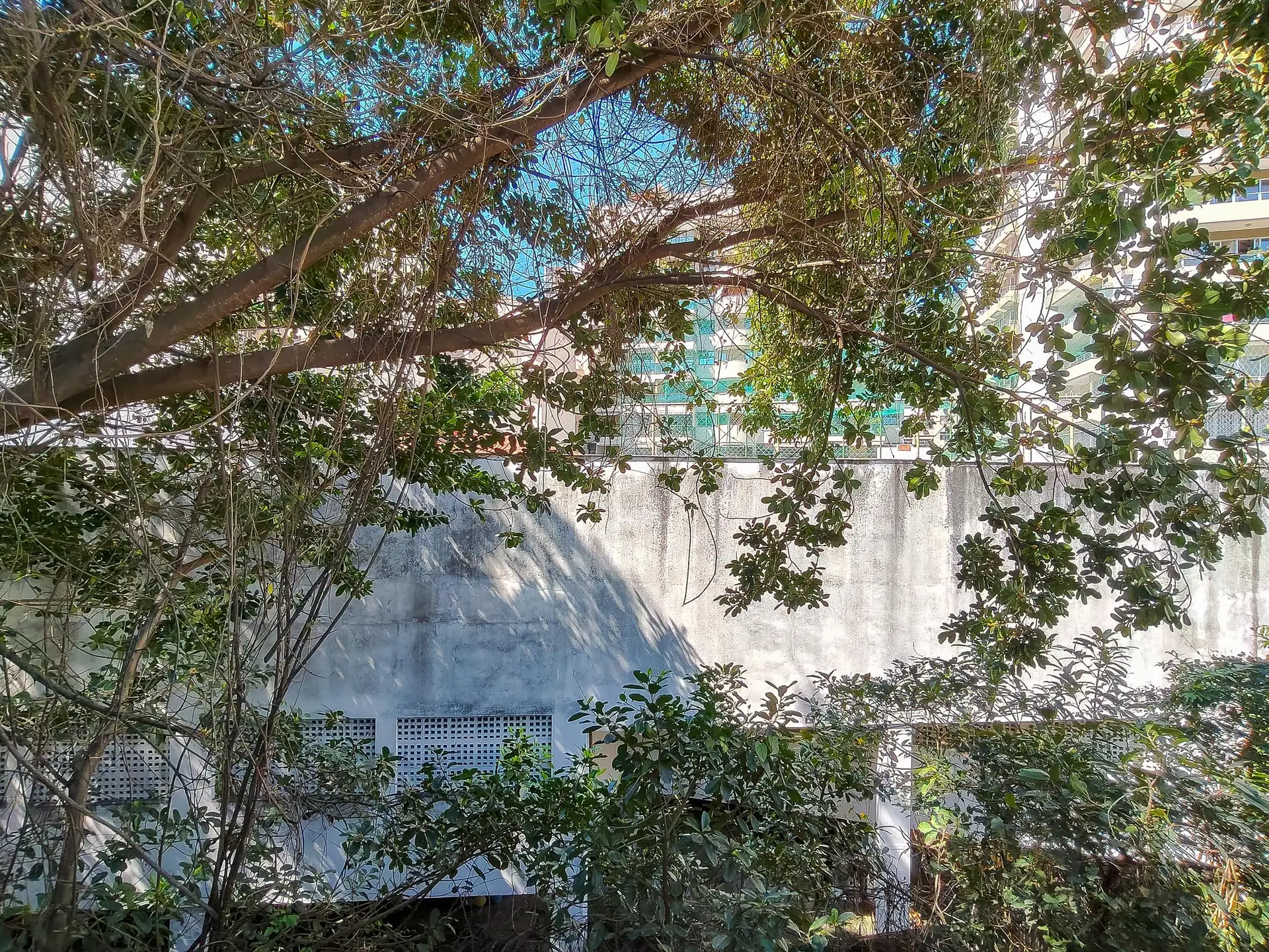 House for rent with 5 bedrooms and 8 bathrooms — photo 78