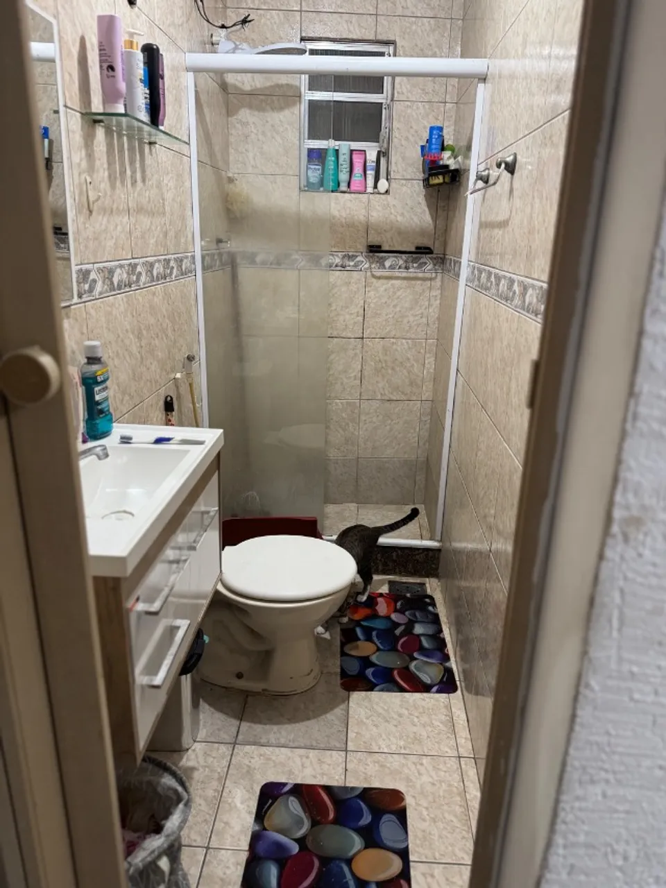 Apartamento mobiliado de 1 quarto com banho em box de vidro — photo 10
