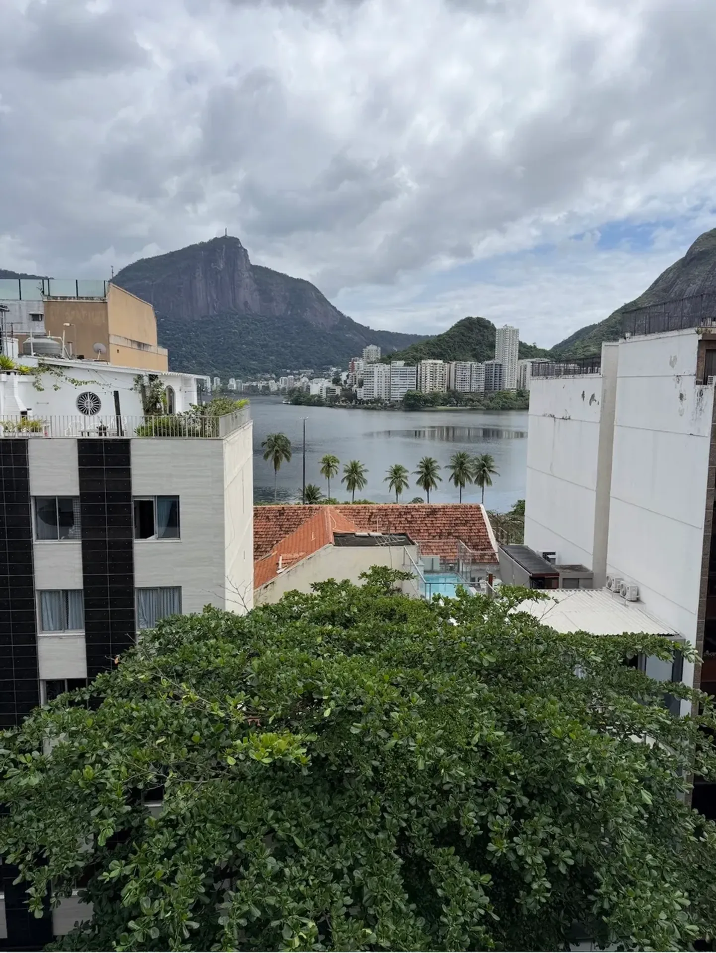 3-bedroom apartment with floor-to-ceiling windows — photo 6
