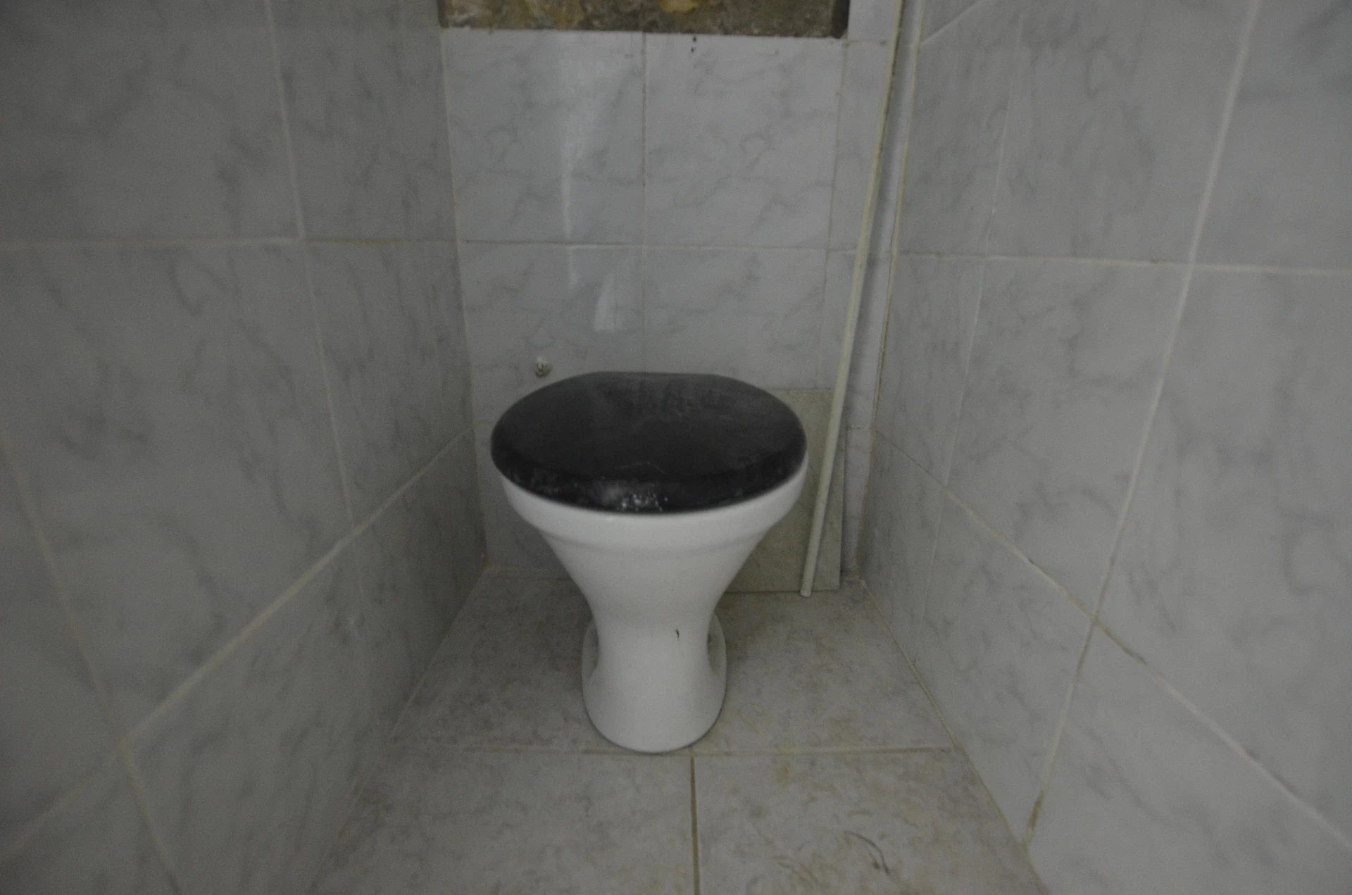 3-bedroom apartment with 2 bathrooms and no parking — photo 21