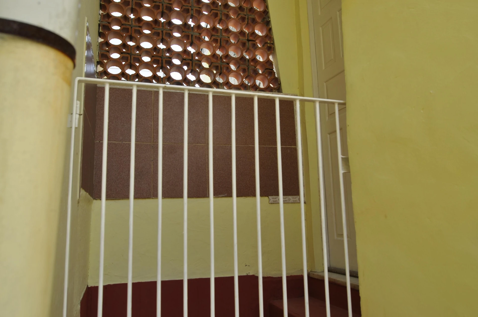 Wood or laminate floors in a 2-bedroom apartment, 85 m² — photo 12