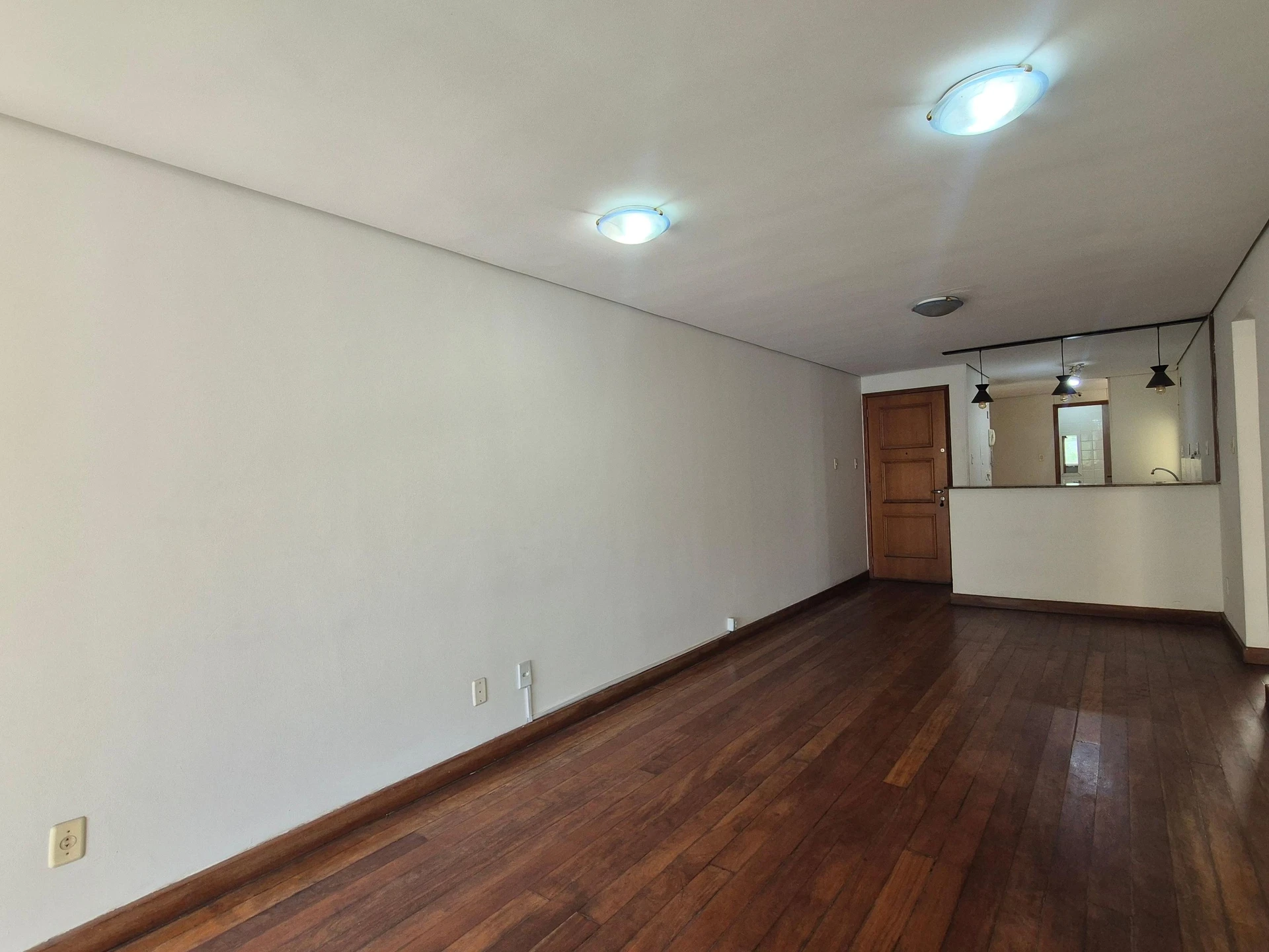 Apartamento com 2 quartos, suíte e varanda com animais — photo 7