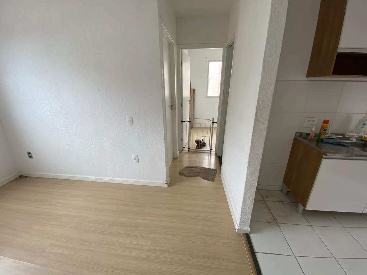 Apartamento para alugar com cozinha separada e 2 quartos — photo 8