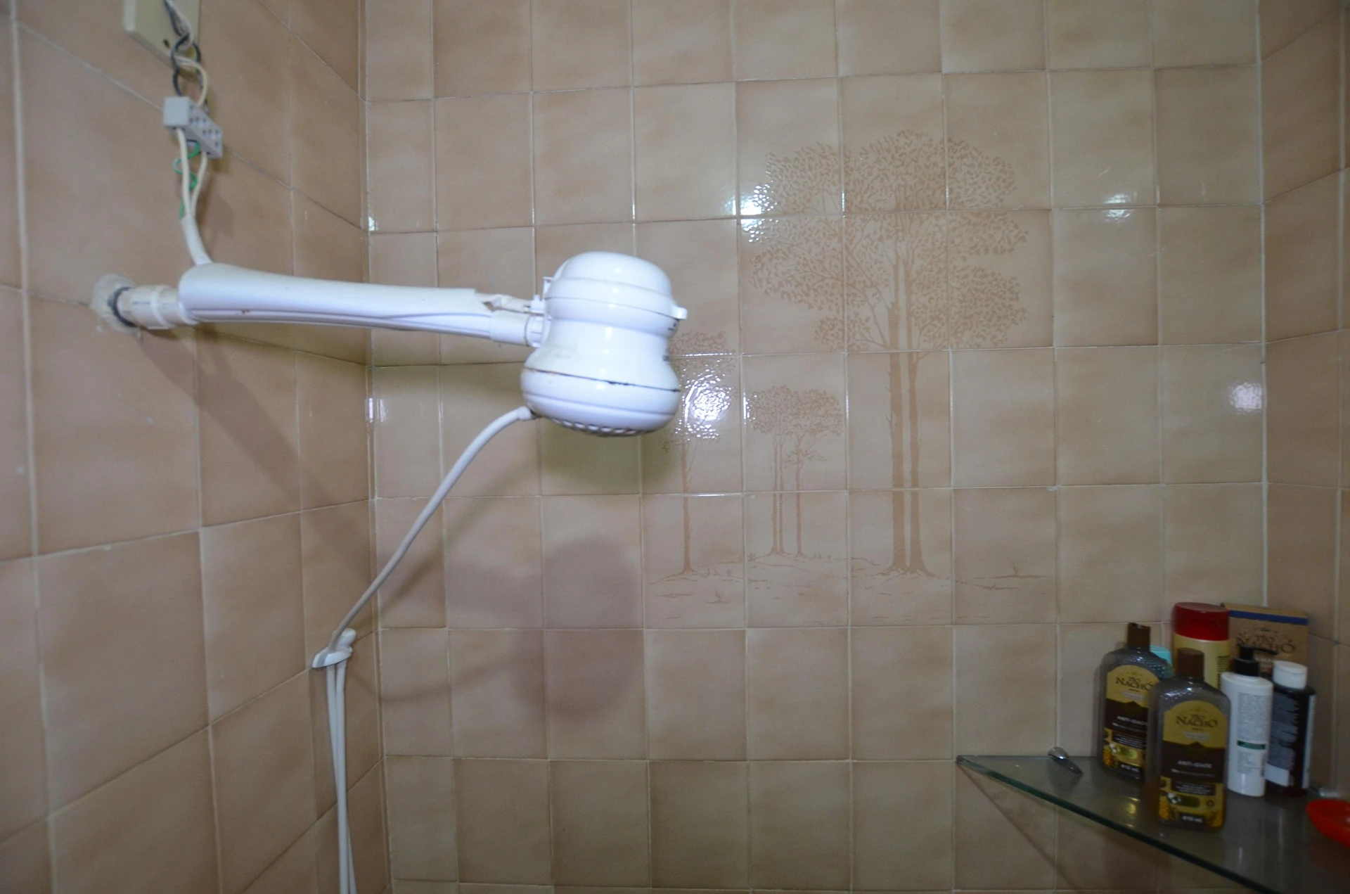 Мебльований будинок із 3 спальнями та 3 ванними — photo 39