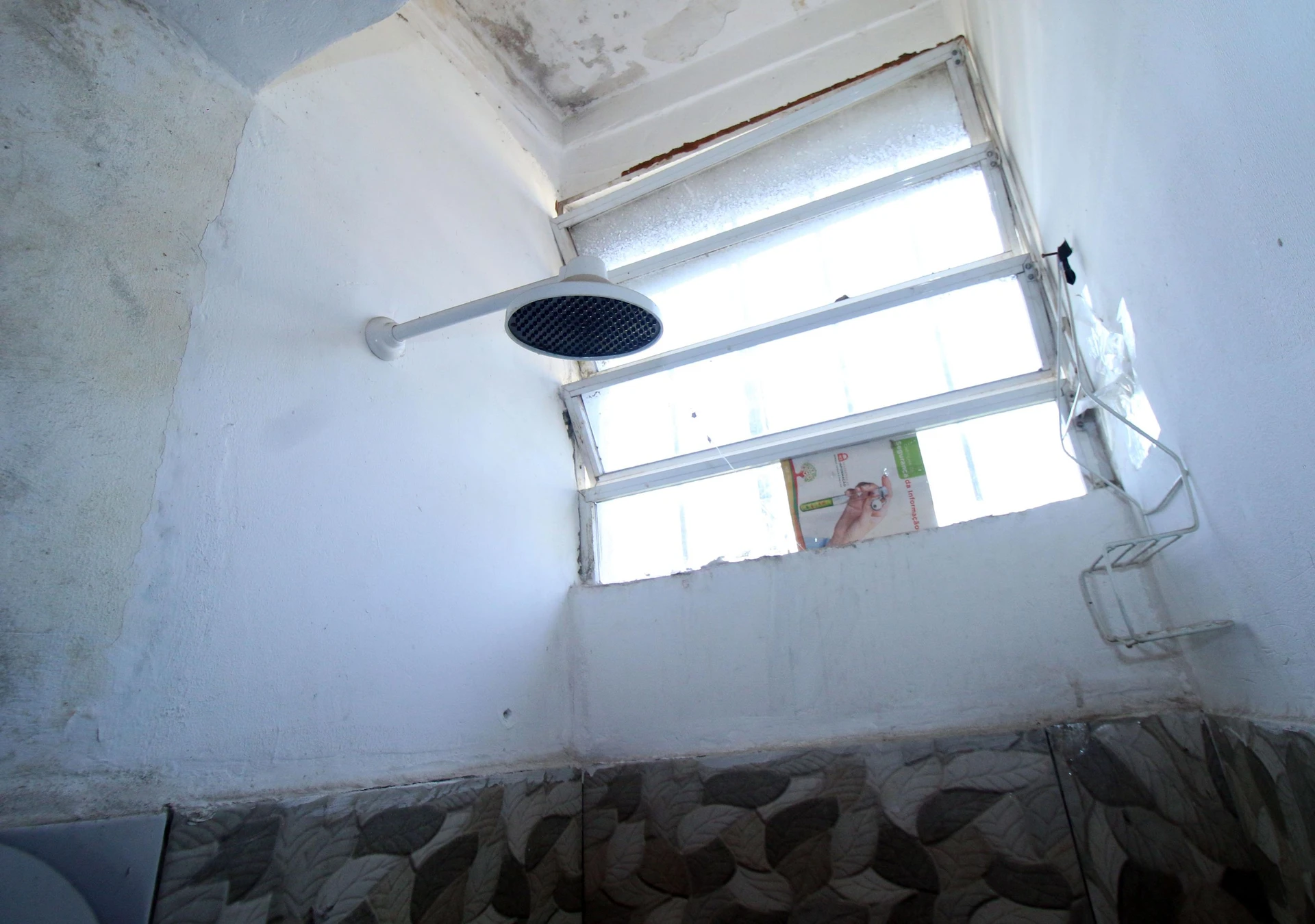 Незамебльована студія з 1 спальнею в сьюті — photo 11