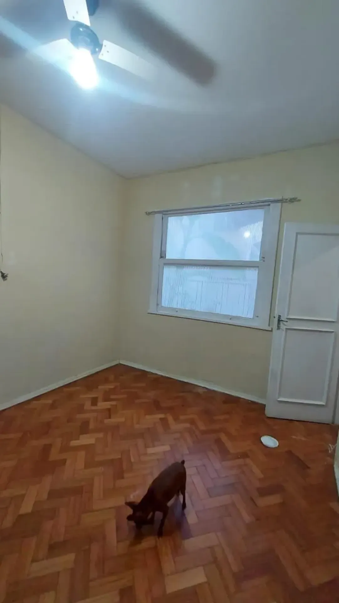 Apartamento mobiliado de 55 m² com 3 quartos e mesa — photo 18