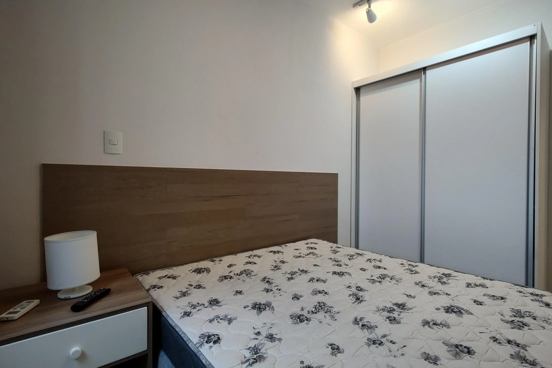Furnished 1-bedroom apartment with an open-plan kitchen — photo 5
