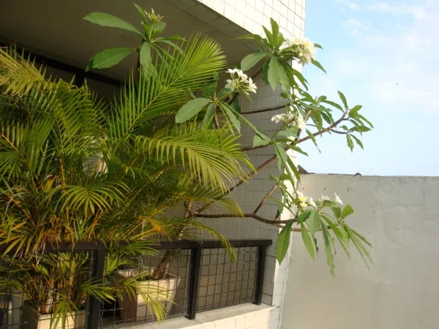 Apartamento mobiliado com 1 quarto e varanda — photo 19