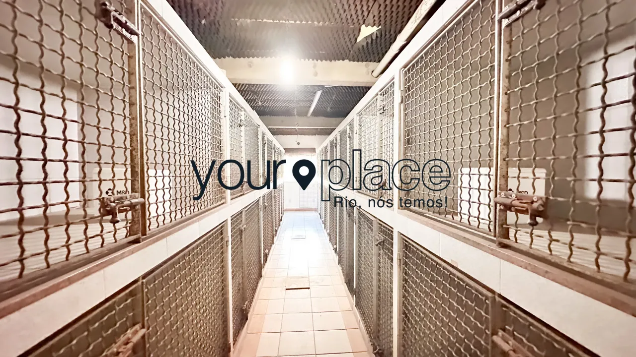 Apartamento para locação com 5 quartos e 4 banheiros — photo 20