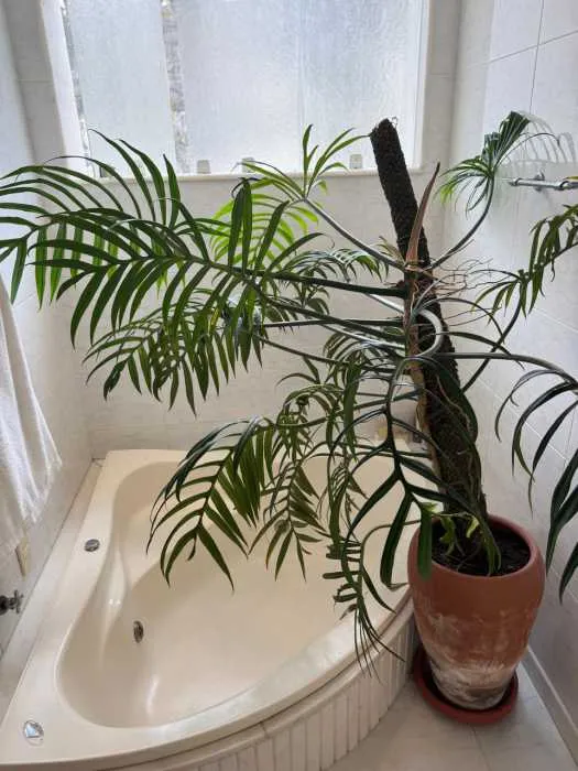 Apartamento de 484 m² com janelas do piso ao teto e banheira — photo 17