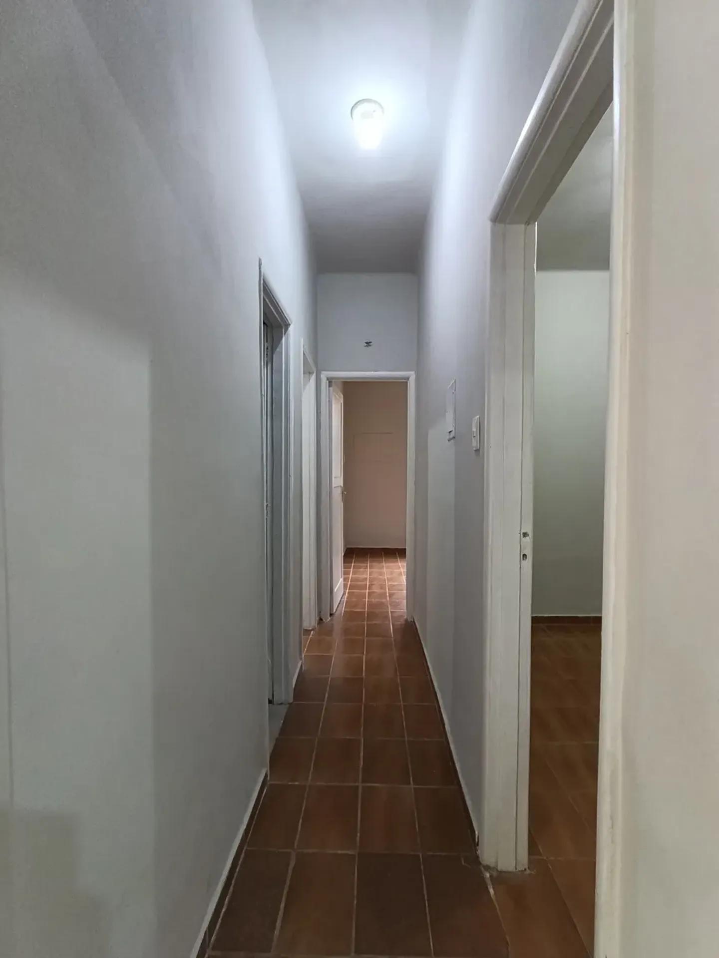 3-bedroom apartment, 1 with its own bathroom, 81 m² — photo 3