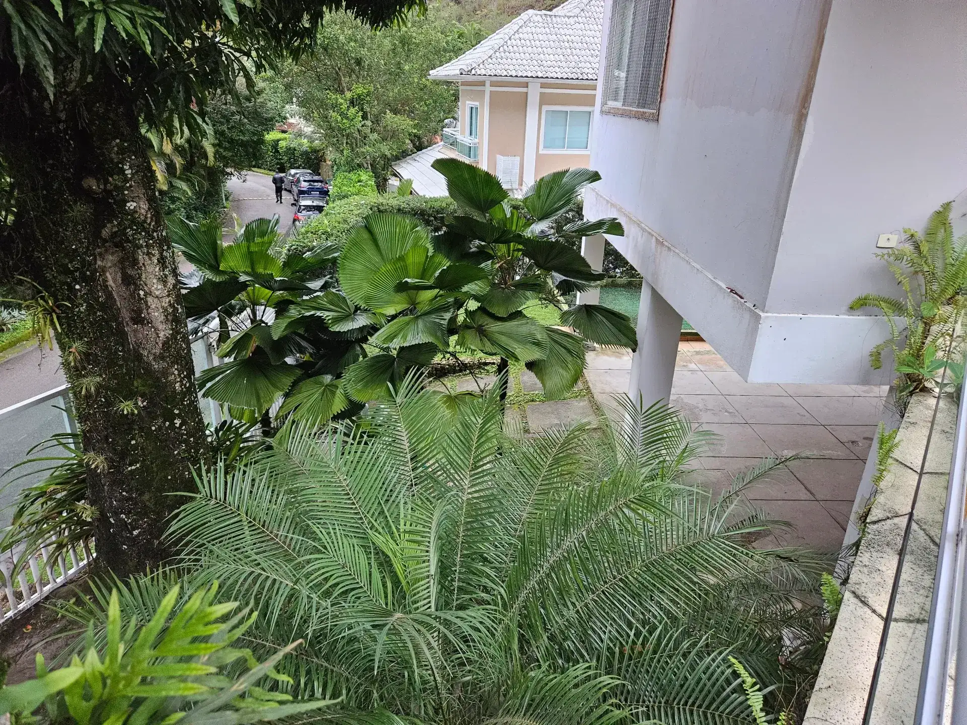 6 quartos e janelas do piso ao teto: casa de 504 m² — photo 55