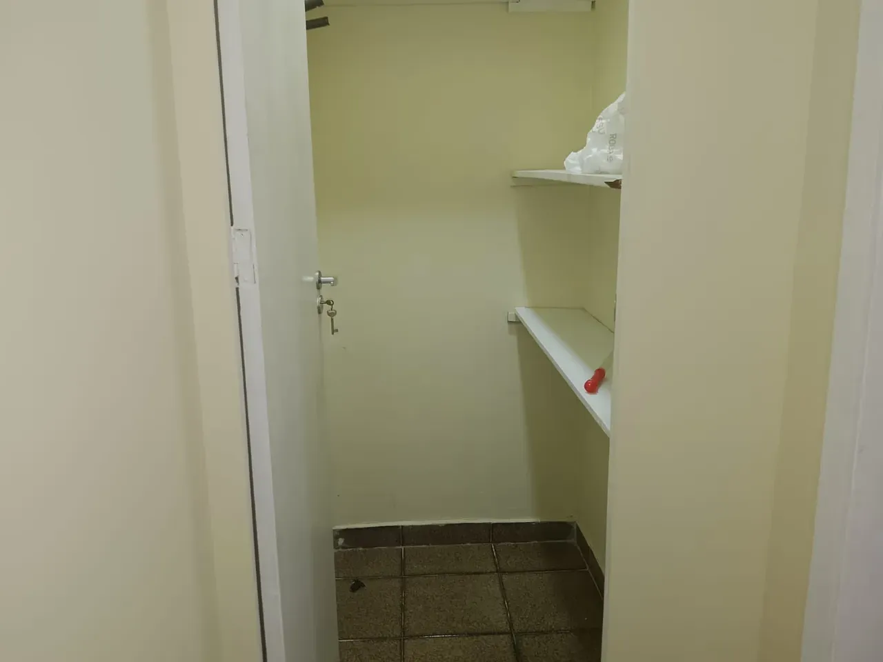 3-bedroom apartment with a washing machine in Rio de Janeiro — photo 94