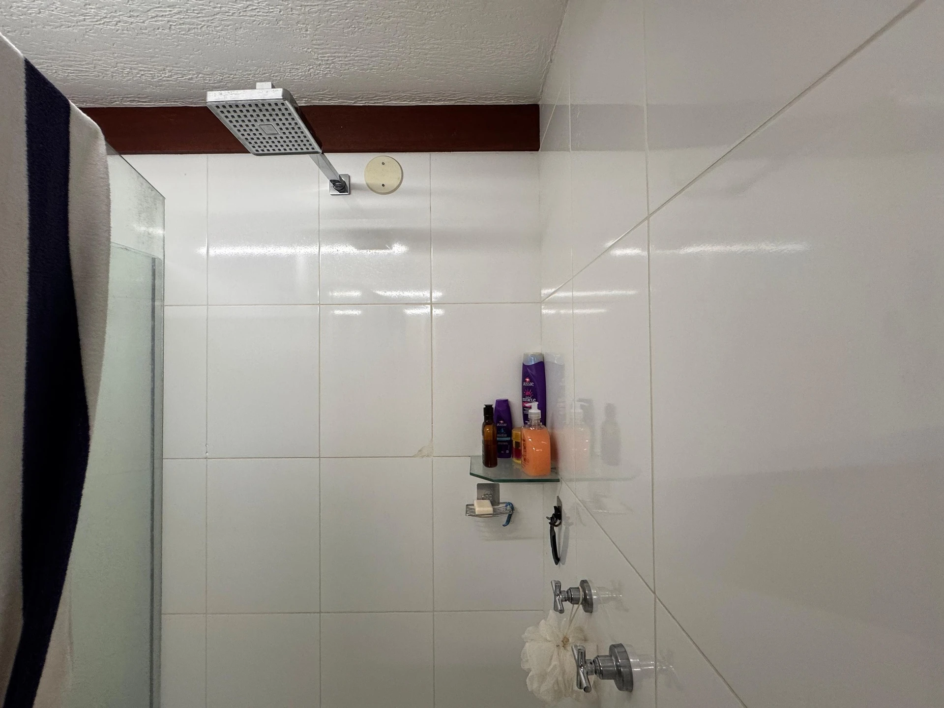 Casa para locação com 3 suítes e jardim privativo — photo 3