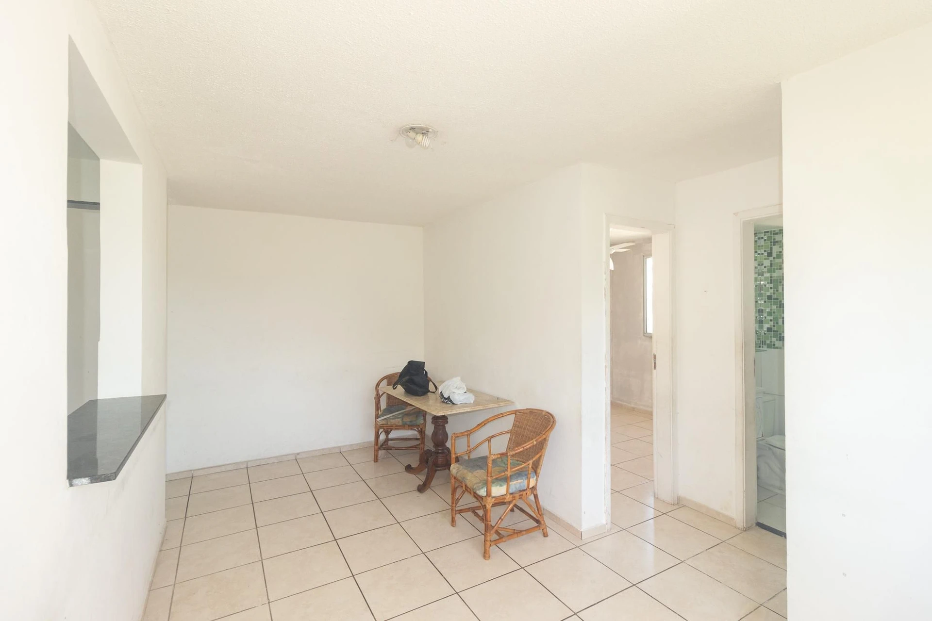 Apartamento com 2 quartos e 1 vaga, cozinha americana — photo 3