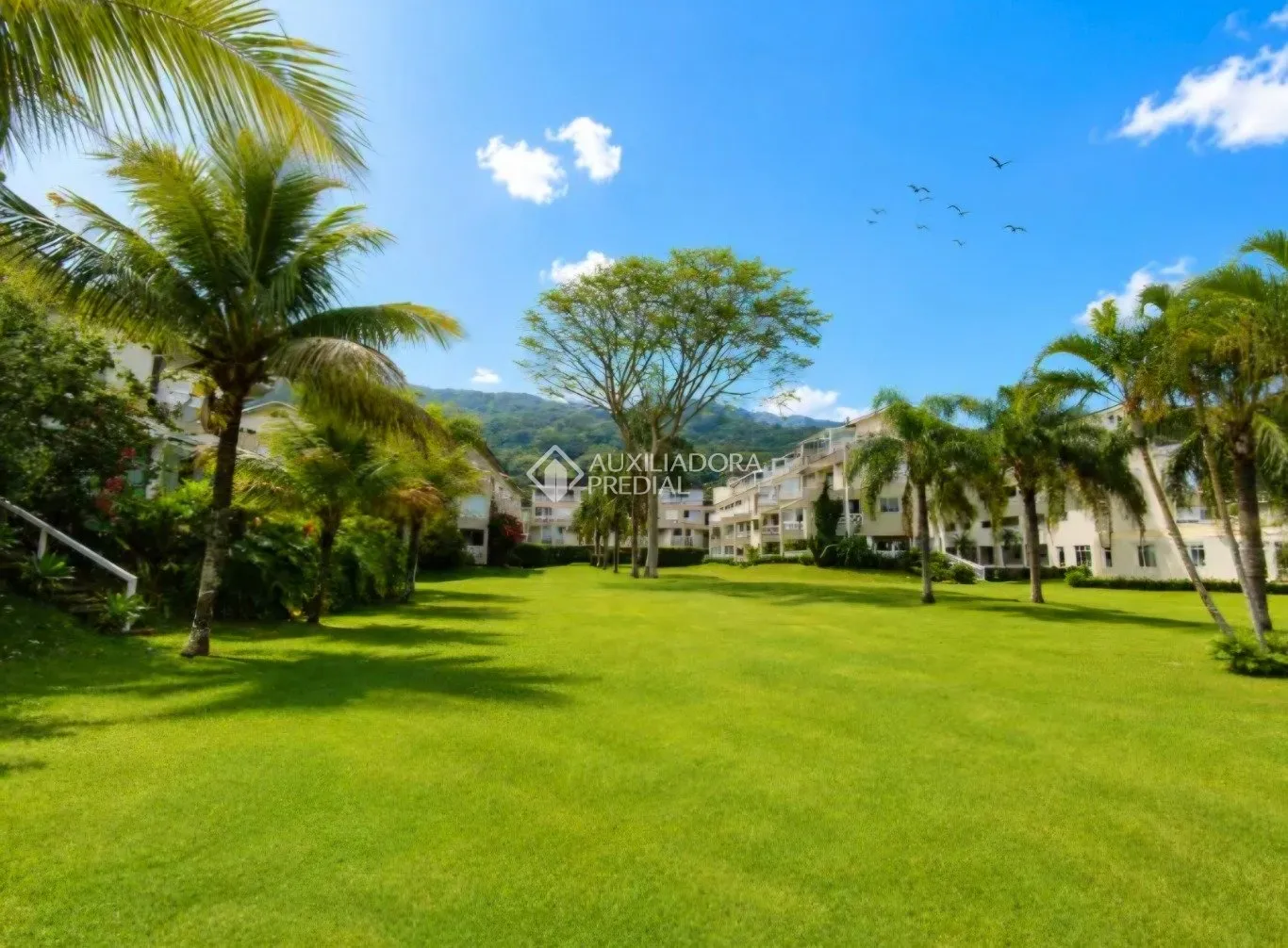 Apartamento de 1 dormitorio con jardín privado, 46 m² — photo 44