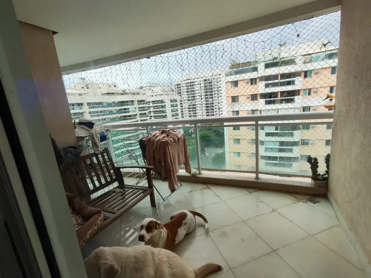 Furnished apartment with 3 bedrooms and 2 bathrooms — photo 12