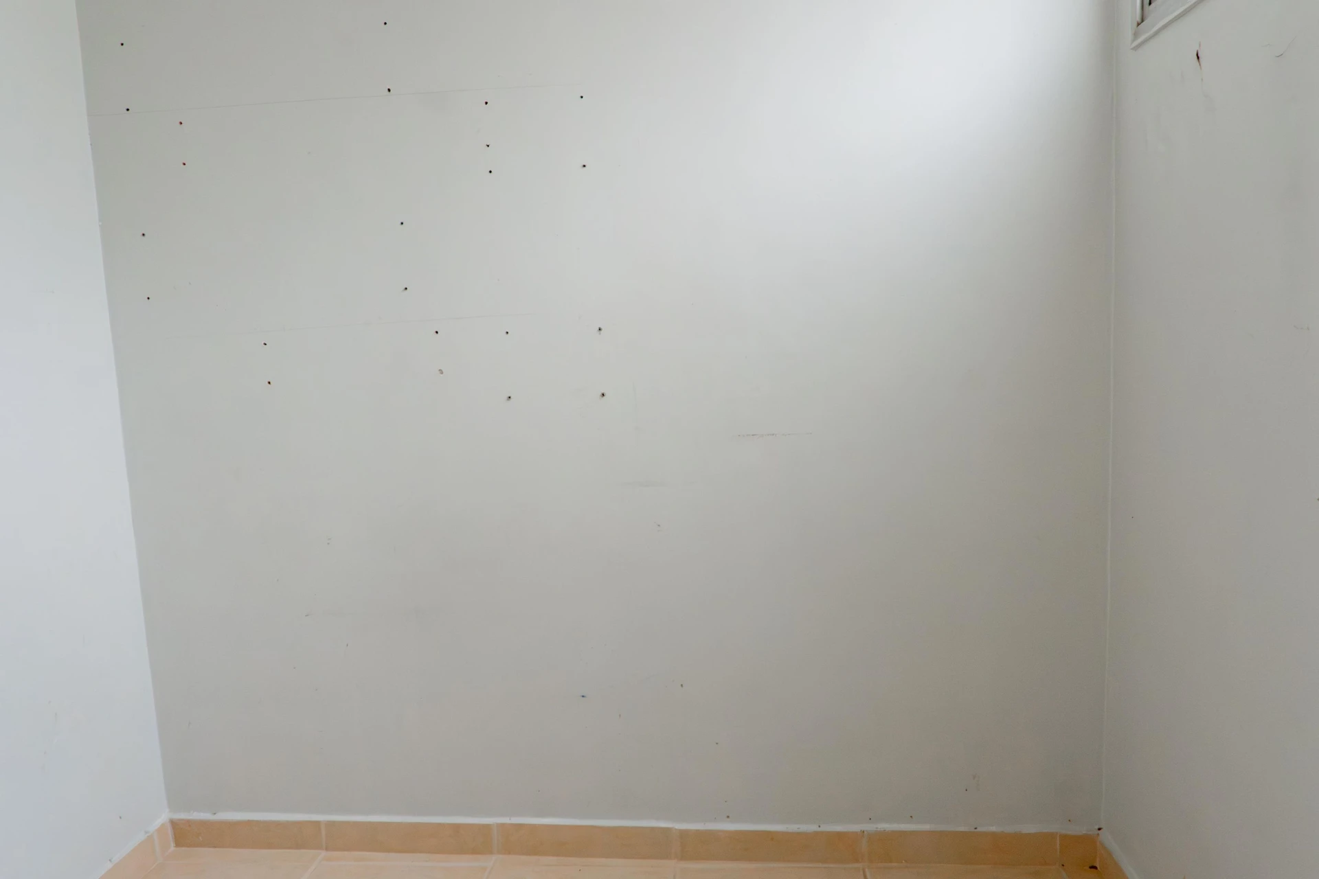 Apartamento sem mobília com 2 quartos e varanda — photo 25