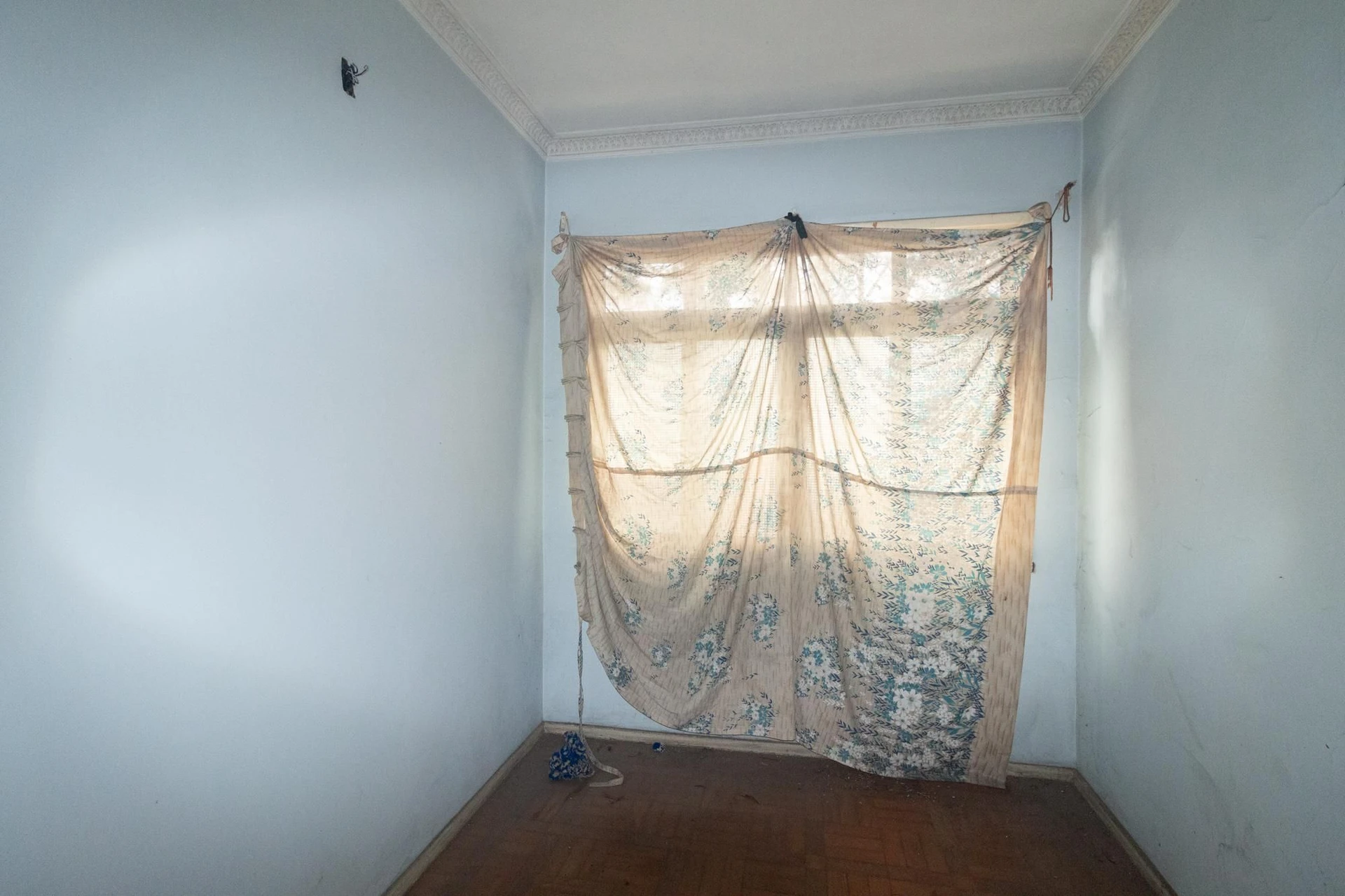 6 quartos e jardim: casa de 263 m² — photo 31