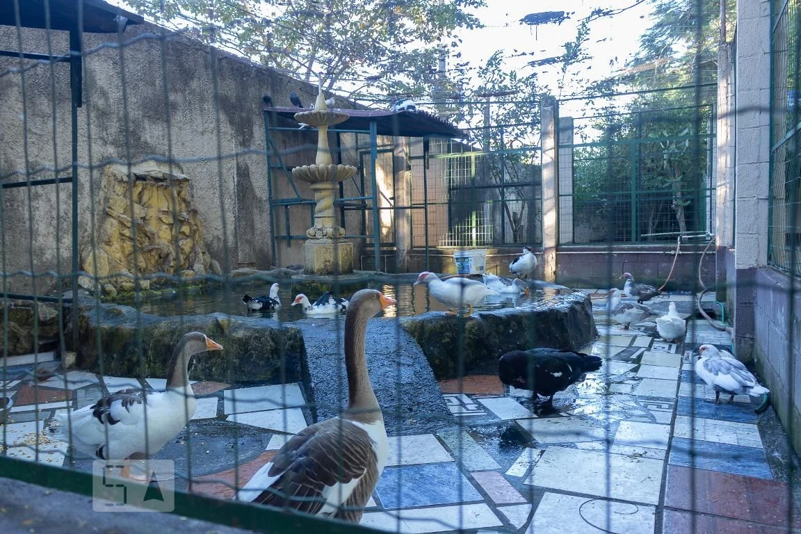 Квартира с 2 спальнями, балконом и 1 парковкой — photo 19