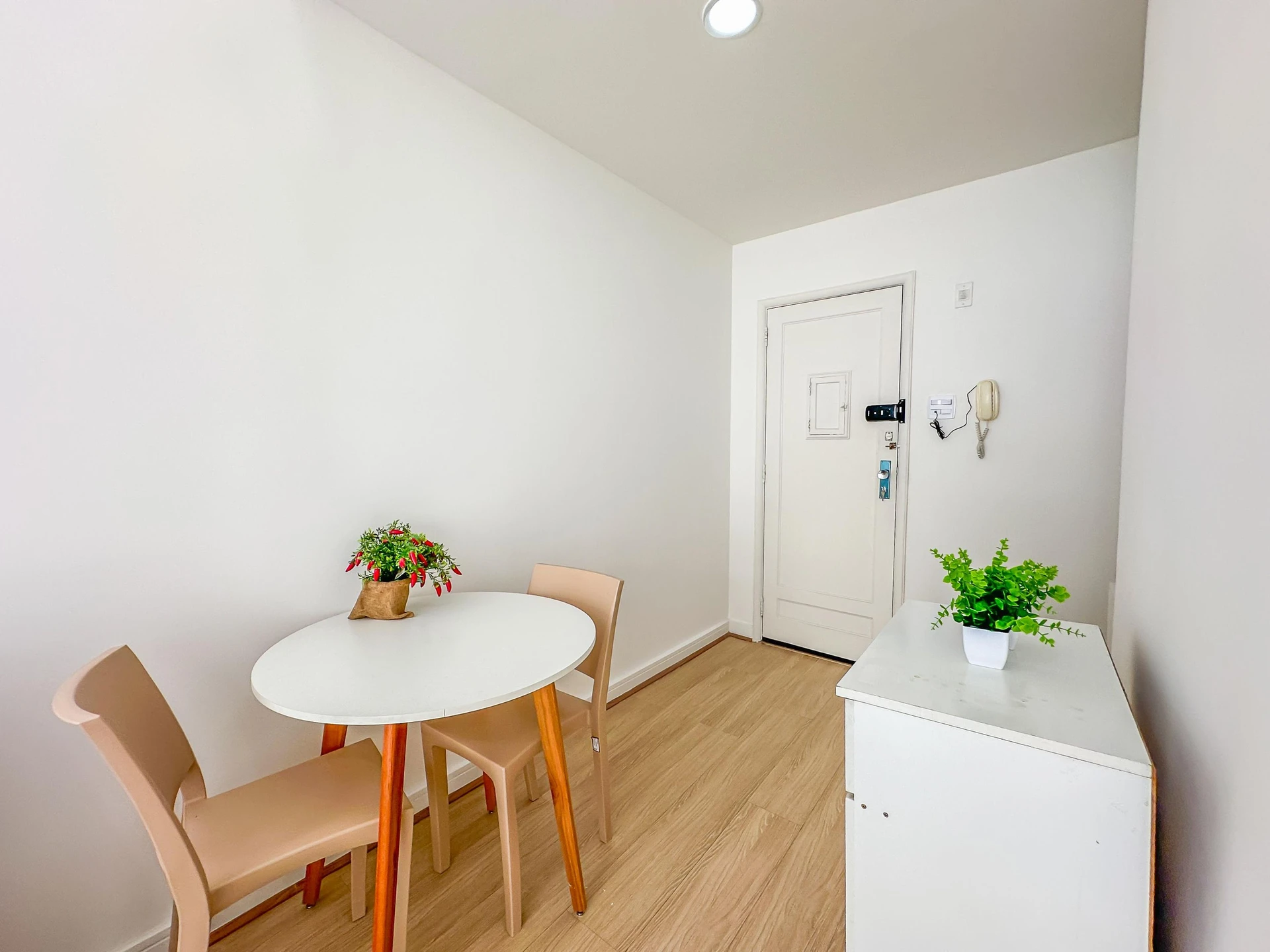 Furnished studio, 30 m², with wood or laminate floors — photo 6