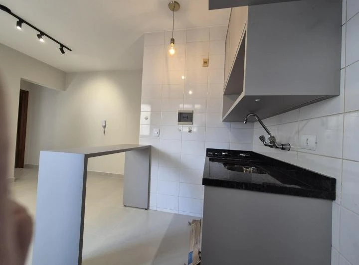 1-bedroom apartment with open-plan kitchen — photo 3