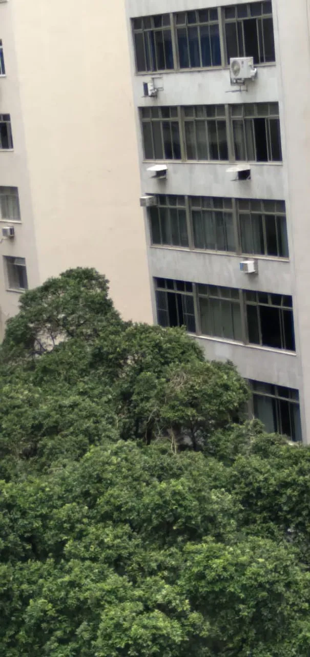 Apartment, 40 m², with a washing machine — photo 5