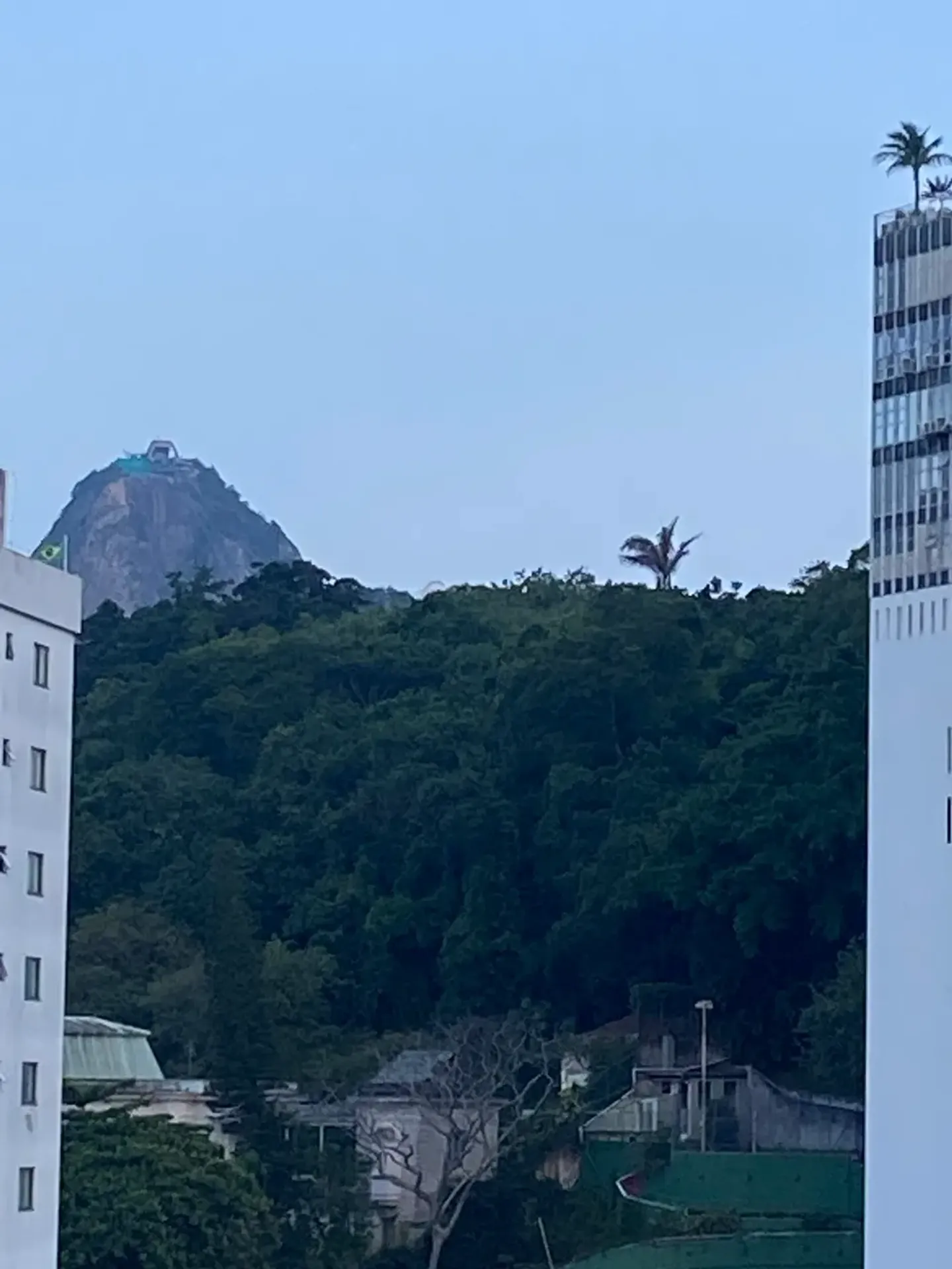 Apartamento de 1 quarto com vista para as montanhas — photo 14