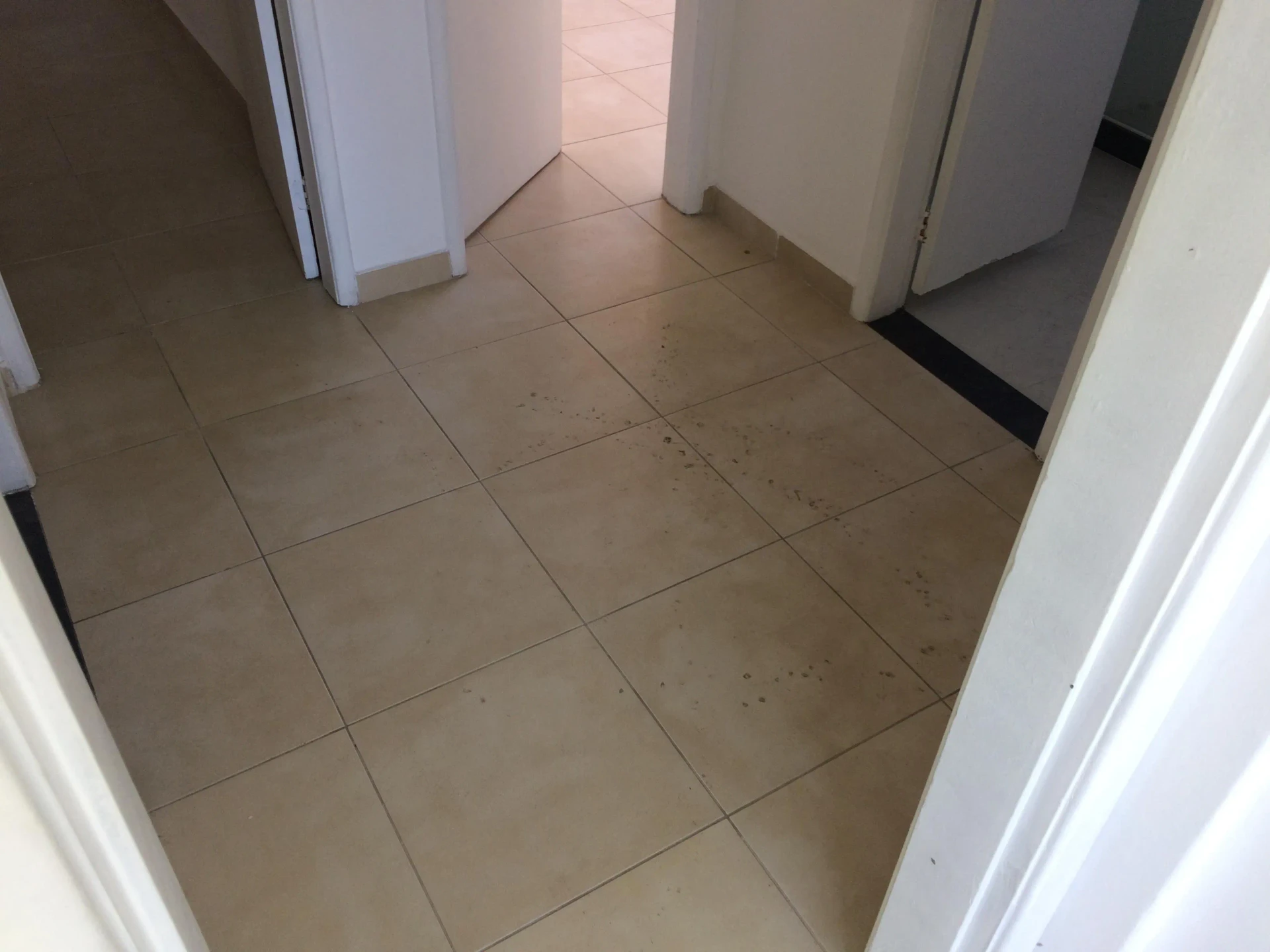 60 m² apartment with 2 bedrooms and 2 bathrooms — photo 18