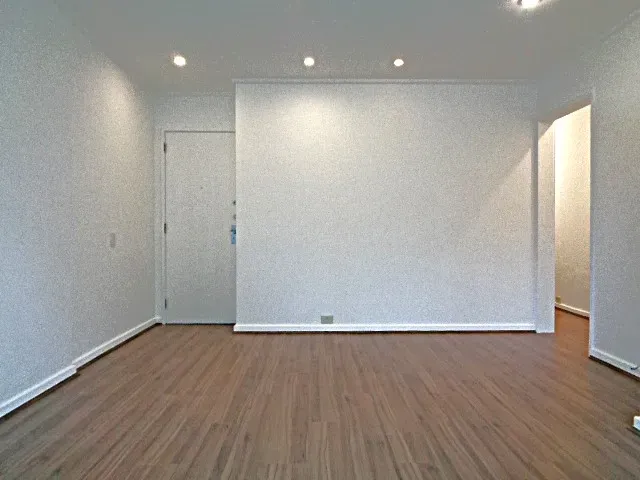 2-bedroom apartment with wood or laminate floors — photo 5