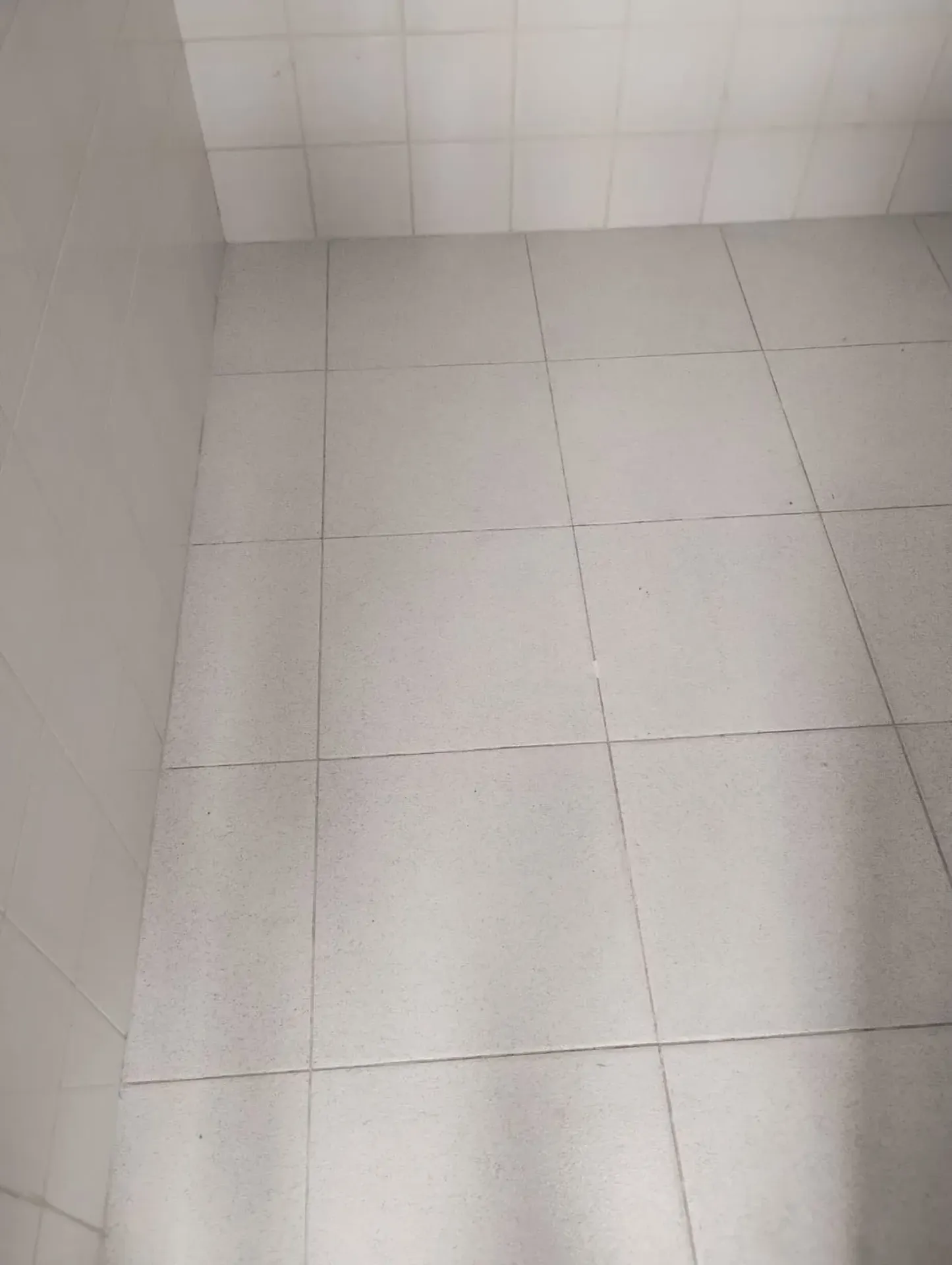 Apartamento para locação com 2 quartos e 1 vaga — photo 21
