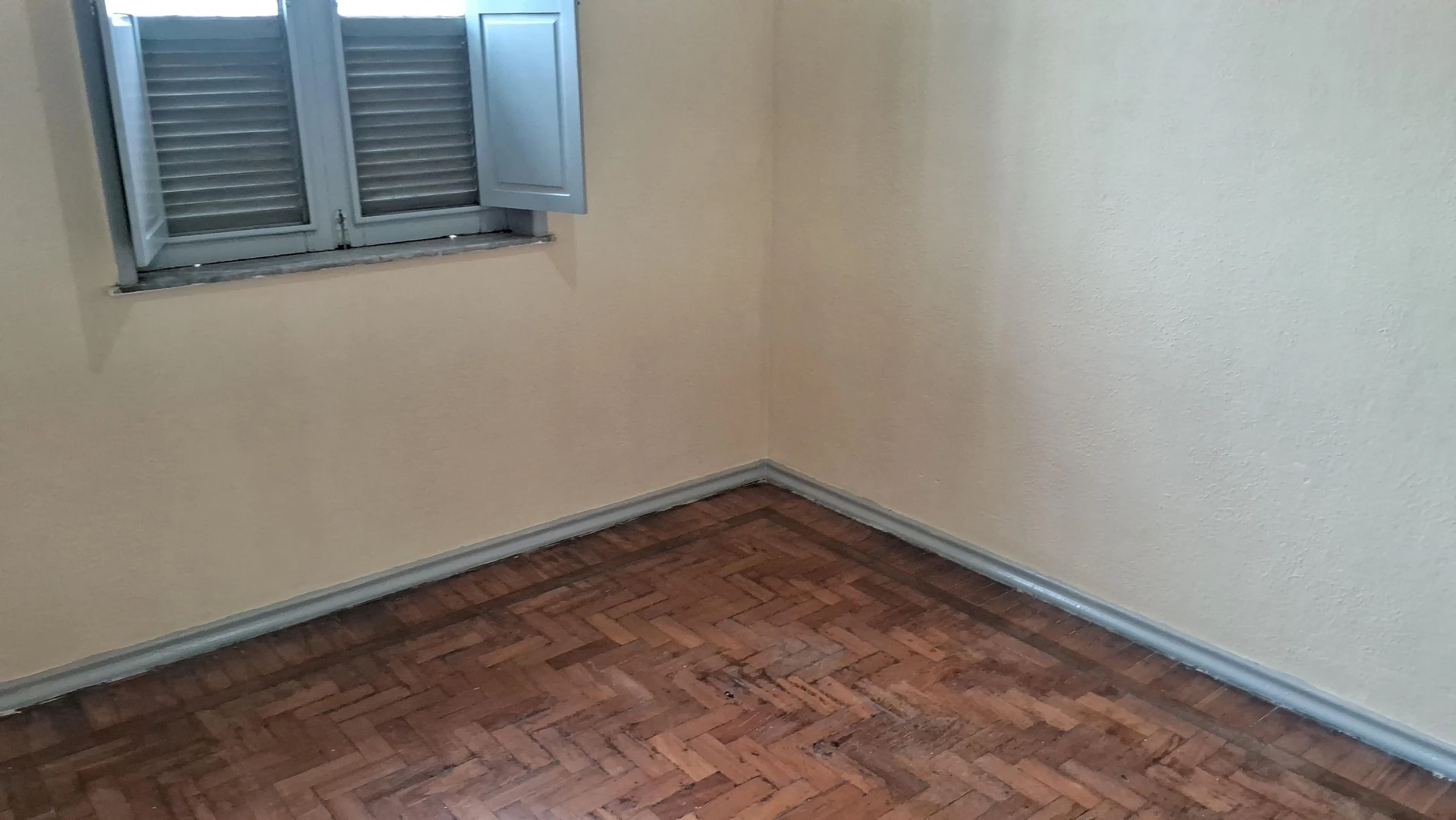 2-bedroom apartment with wood or laminate floors — photo 13