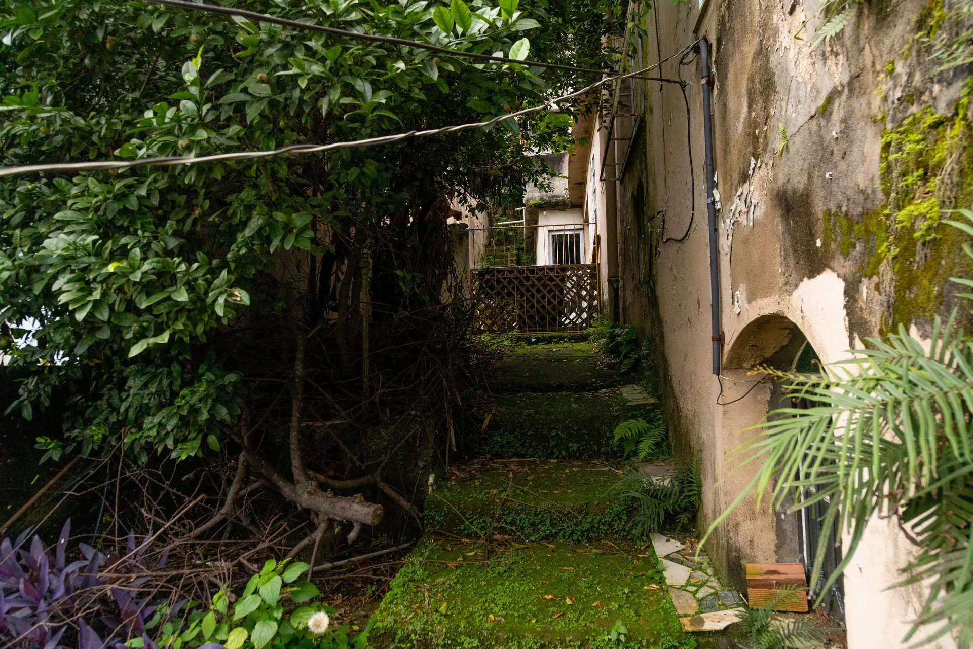 House, 360 m², with a home office