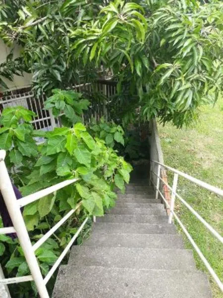 Apartamento de 50 m² e 2 quartos, Lagoa da Conceição — photo 10
