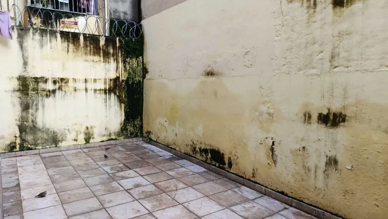 Apartamento de 3 quartos com cozinha separada e 85 m² — photo 25
