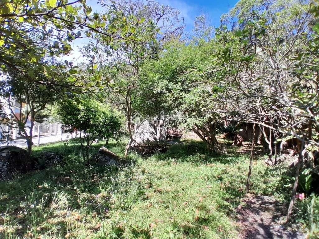 Unfurnished house with 4 bedrooms and 860 m² — photo 4