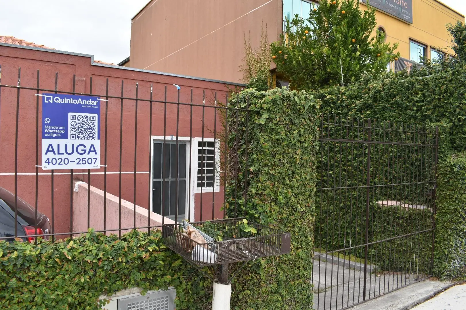 1 quarto e jardim: casa de 38 m² — photo 23