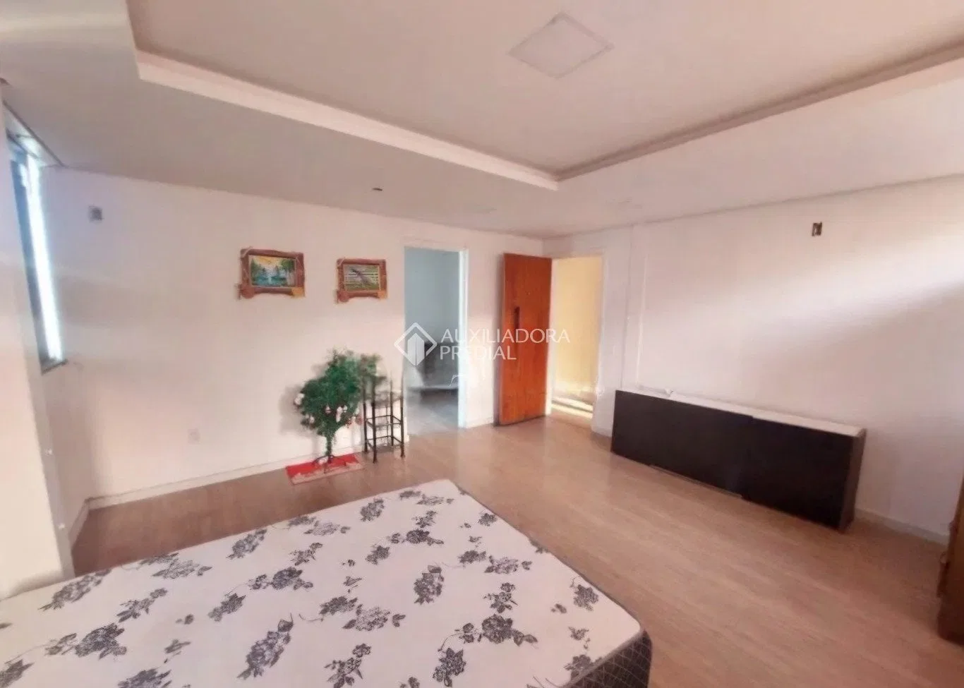1-bedroom apartment with 25 m² and a compact kitchenette — photo 2