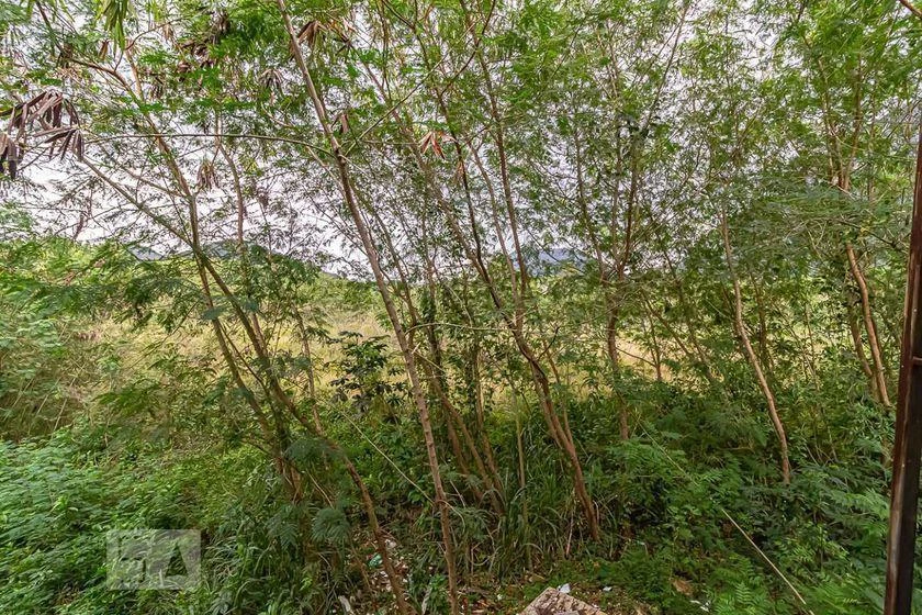 Casa em condomínio sem mobília com 4 quartos e 208 m² — photo 33