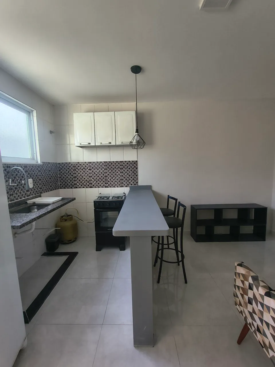 Furnished 1-bedroom apartment with pet-friendly rules