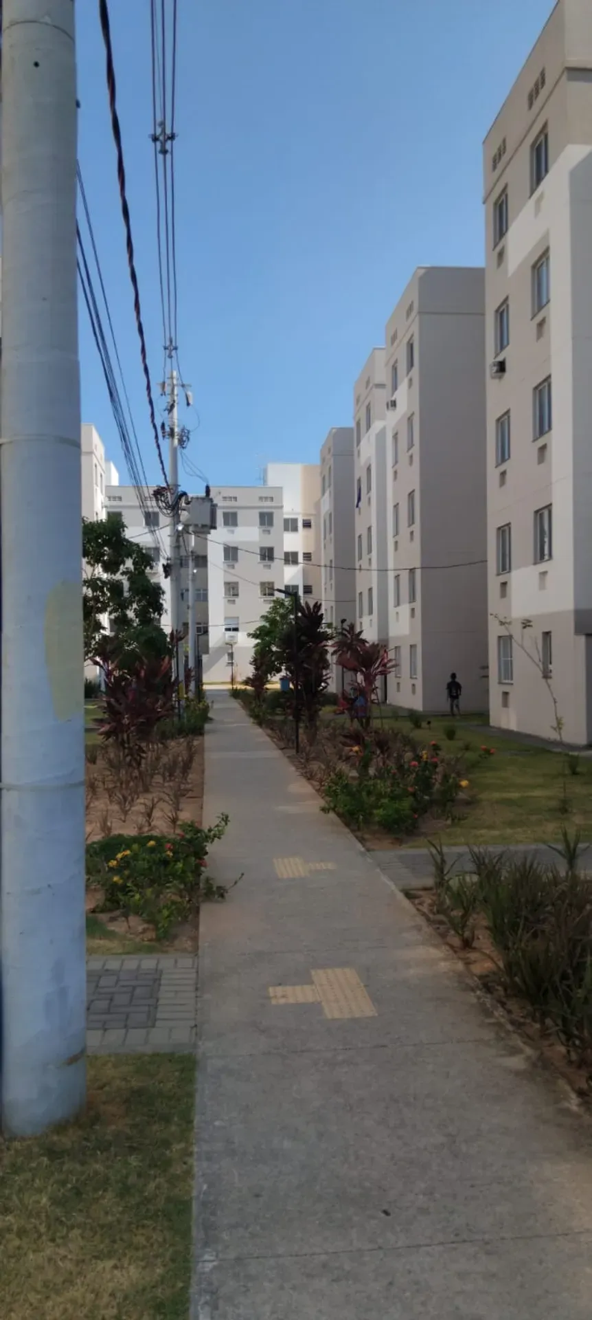 1 quarto e piso de madeira ou laminado: apartamento de 42 m² — photo 10