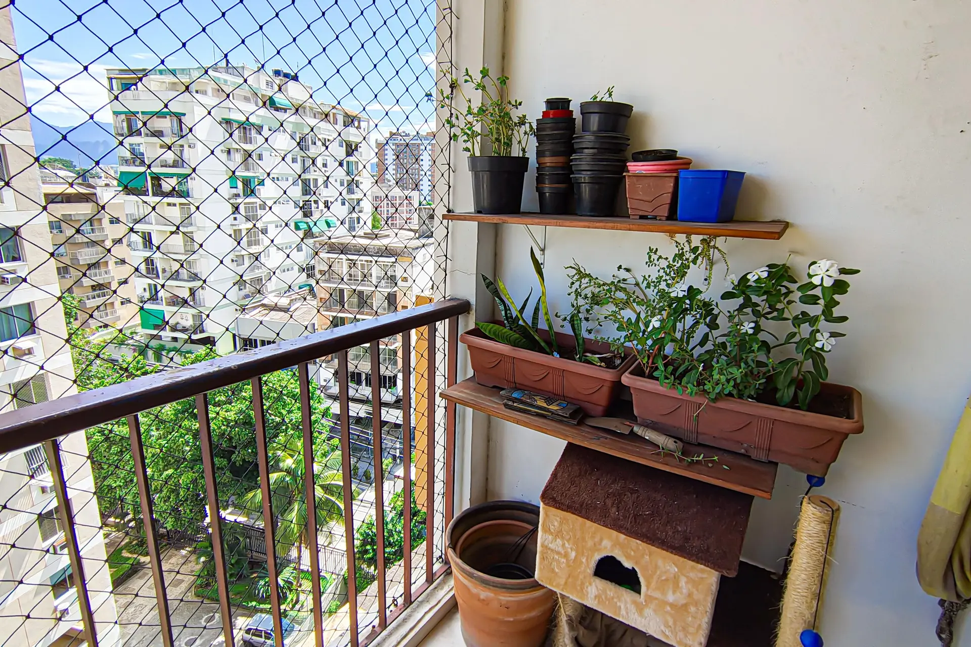 3-bedroom apartment in a building with a gym — photo 11
