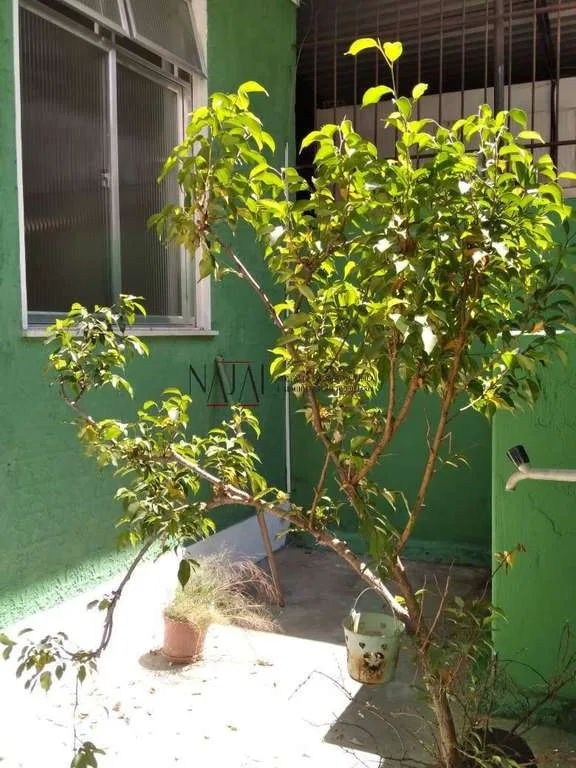 Дерев'яна підлога або ламінат та 2 спальні: будинок 48 м² — photo 11