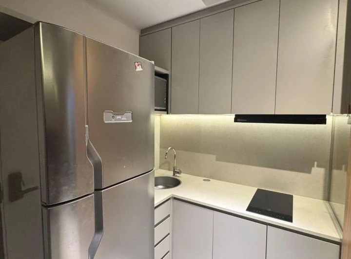 Furnished 1-bedroom apartment with en-suite and 45 m² — photo 4