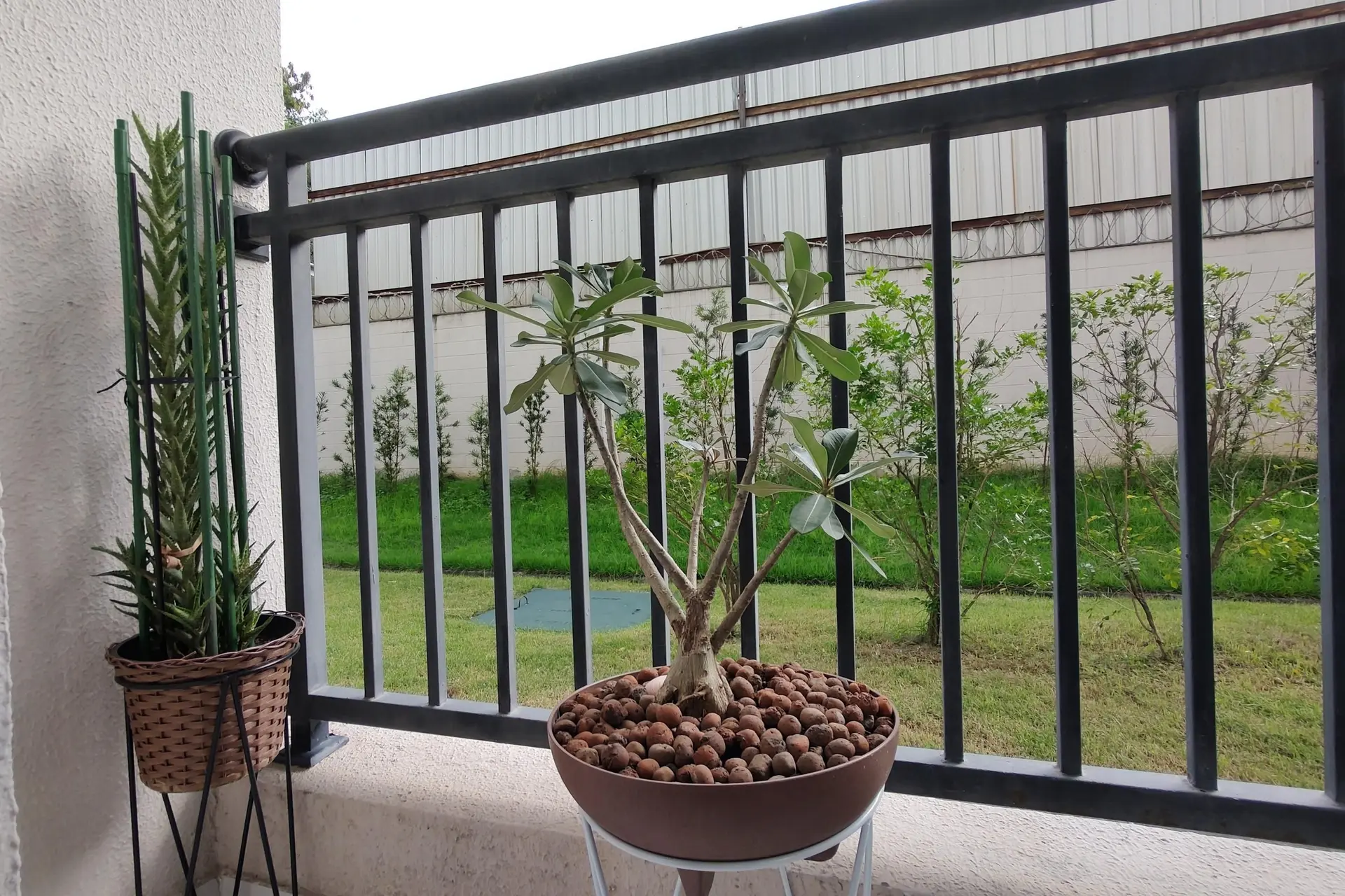 2-bedroom apartment with a glass-enclosed balcony — photo 69